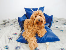 Load image into Gallery viewer, Luxury dog bed and car seat - Navy
